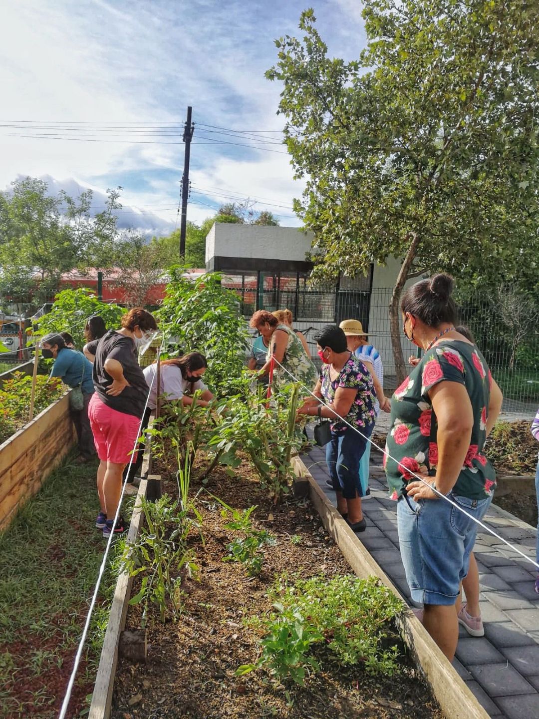 SPGG - Vive San Pedro - Huertos Comunitarios